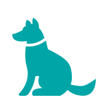 1 animale