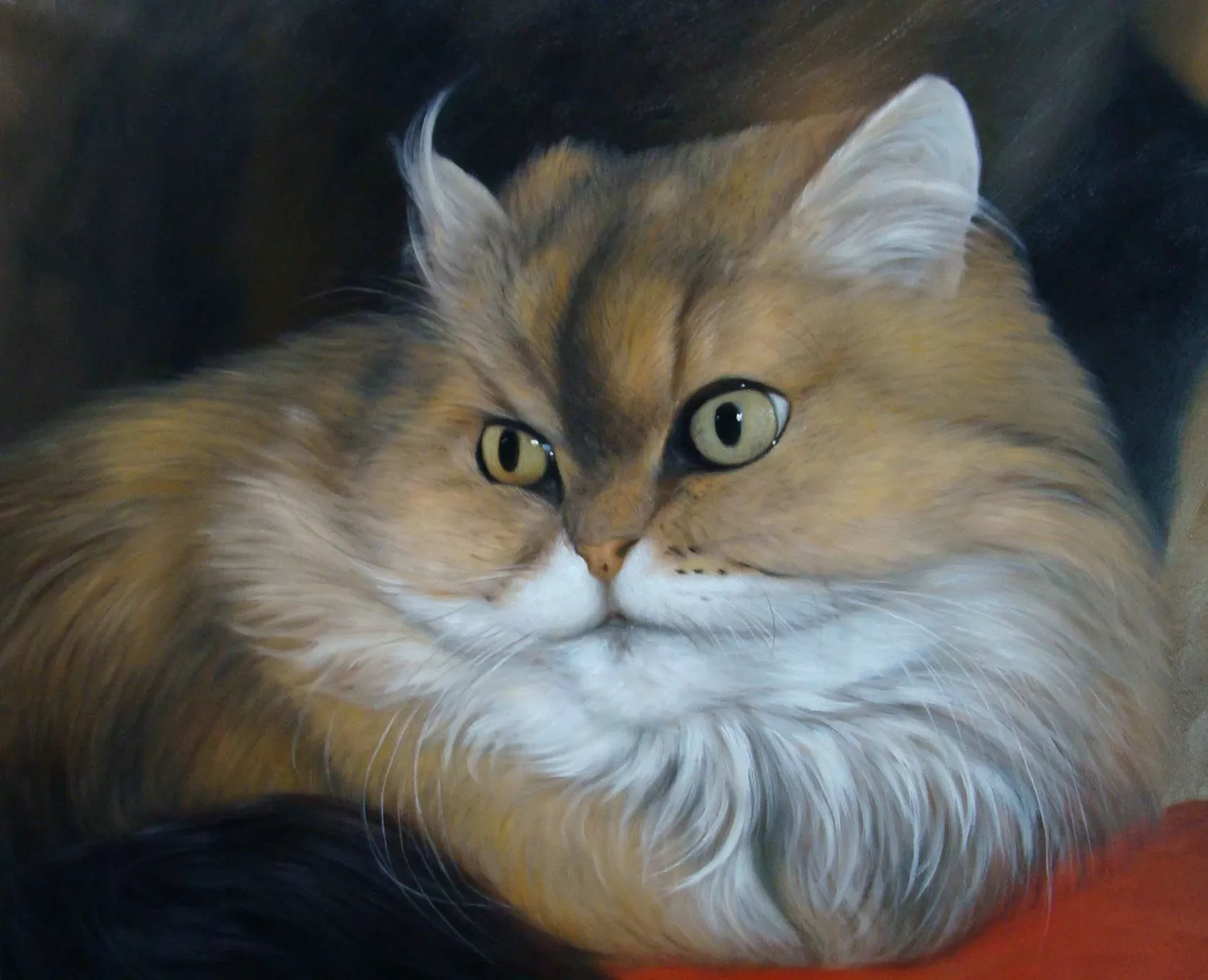  cat canvas painting