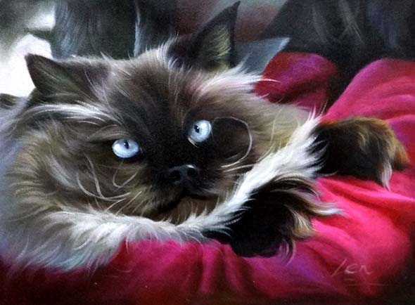 black and white long hair cat oil painting with blue eyes