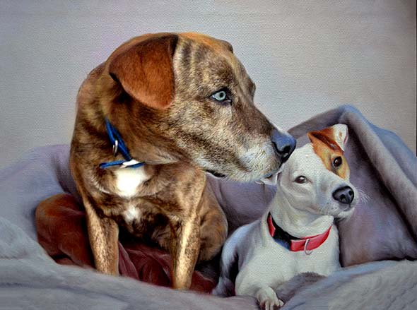 oil portrait of two dogs