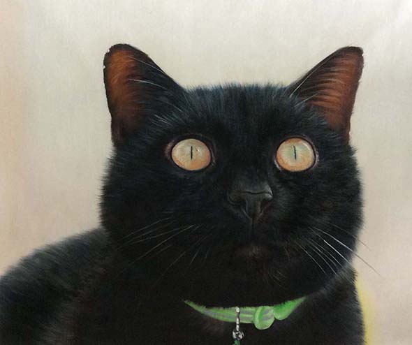 custom oil portrait of black cat