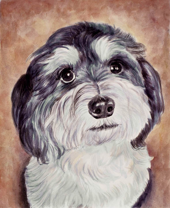 Portrait chien