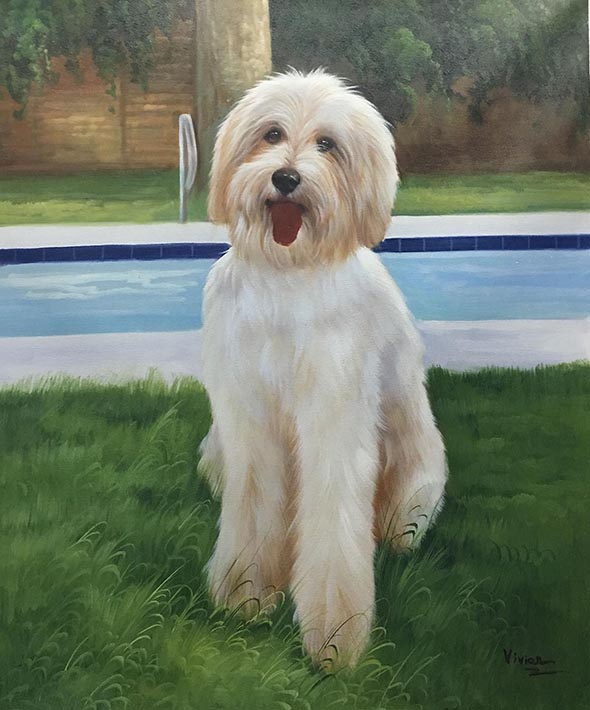 custom acrylic portrait of Labradoodle in backyard