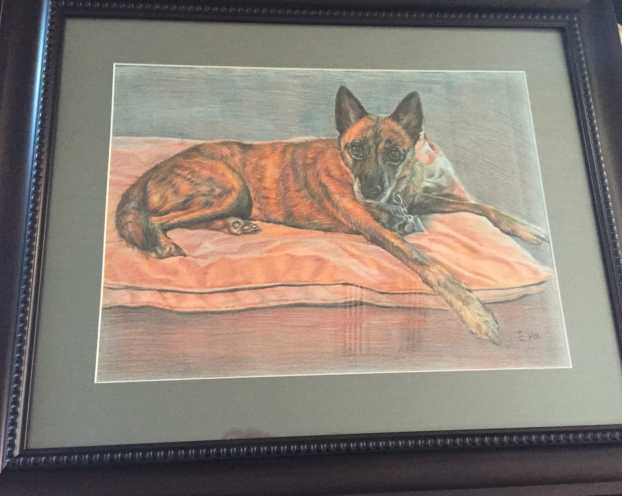 This is Stoli our beloved family dog. Sadly we had to put her down last year. I wanted to something to cherish her memory and I read about paint your life. This is the last photo we took of her and the artist capture our Stoli. Thank you!
