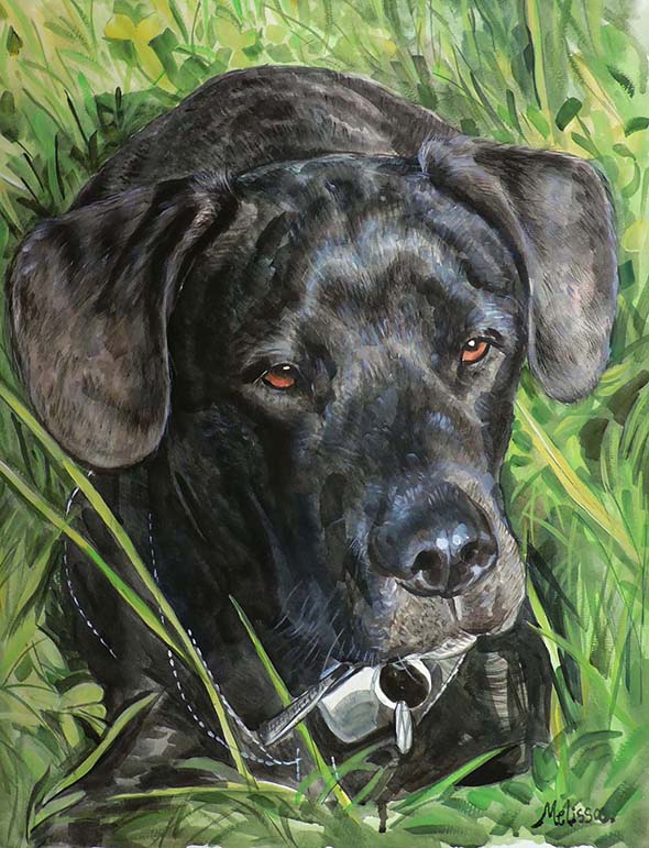 Retratos de perros sobre lienzo