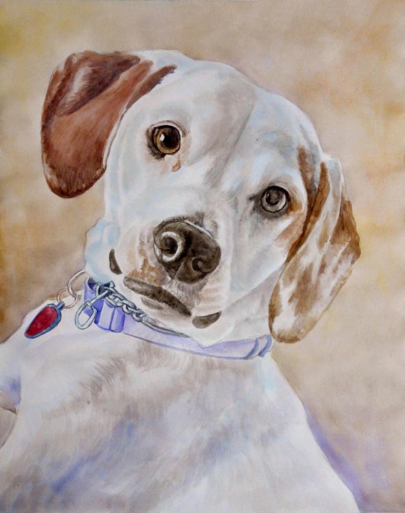 dog portraits on canvas in watercolor