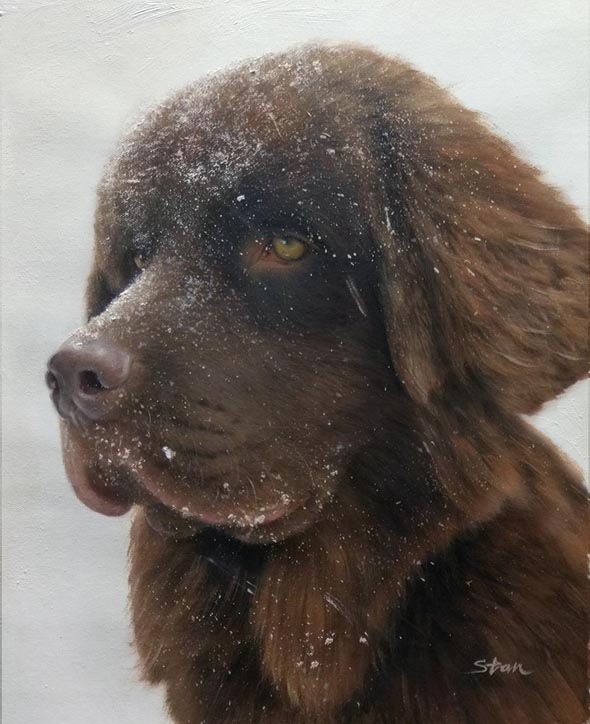 dog in a snow portrait