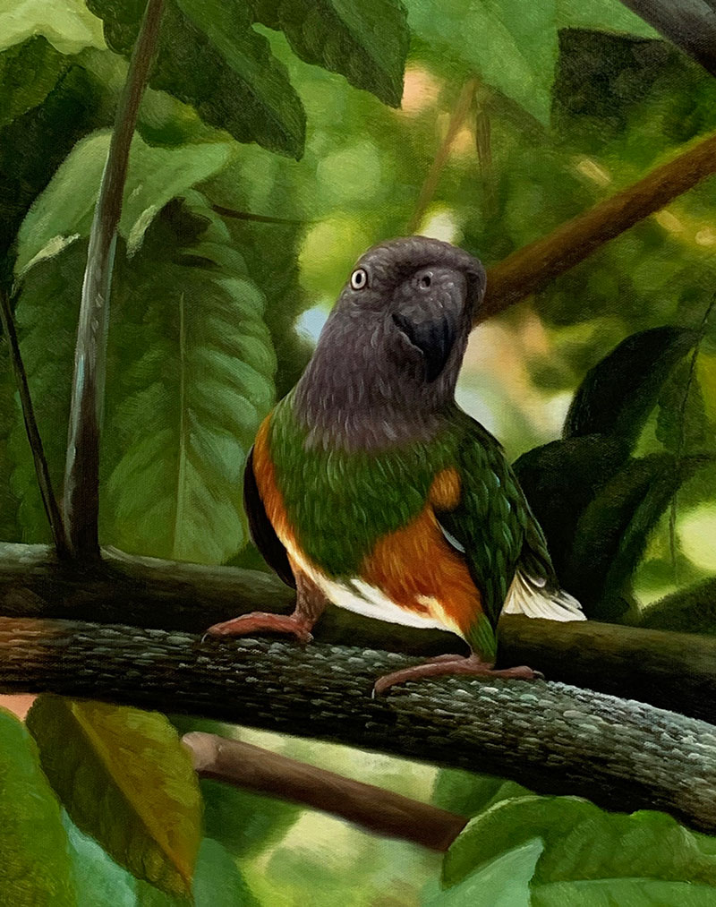 Custom handmade oil painting of a parrot 