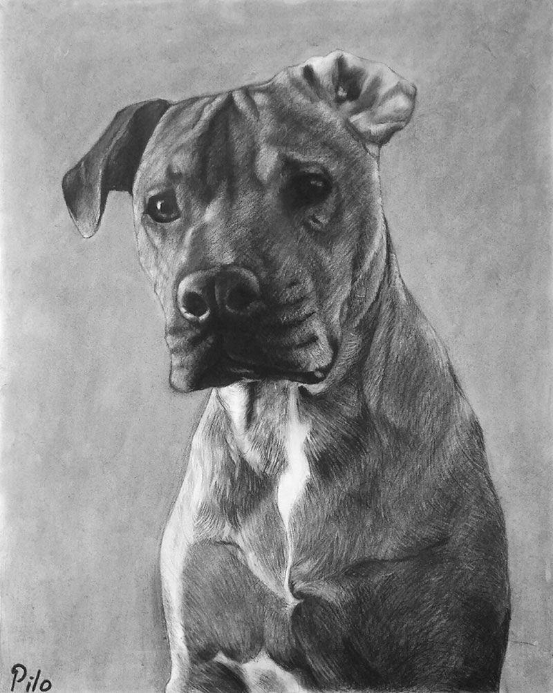 portrait de chien en peinture