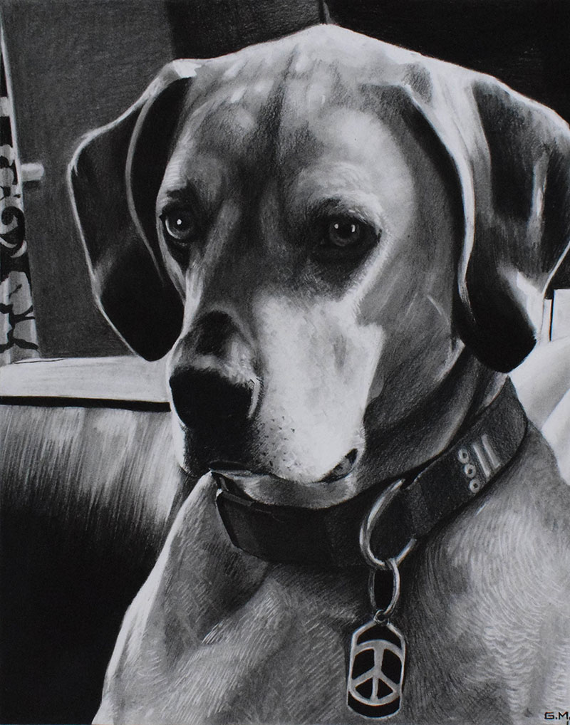 order charcoal drawing of a dog