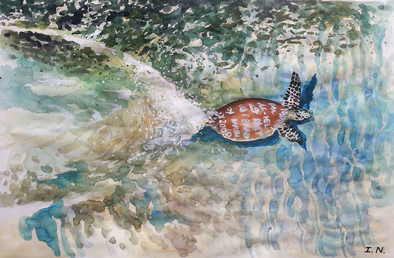 custom watercolor painting of a turtle underwater