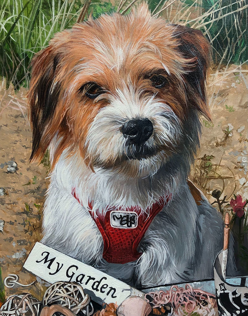 dog in a garden