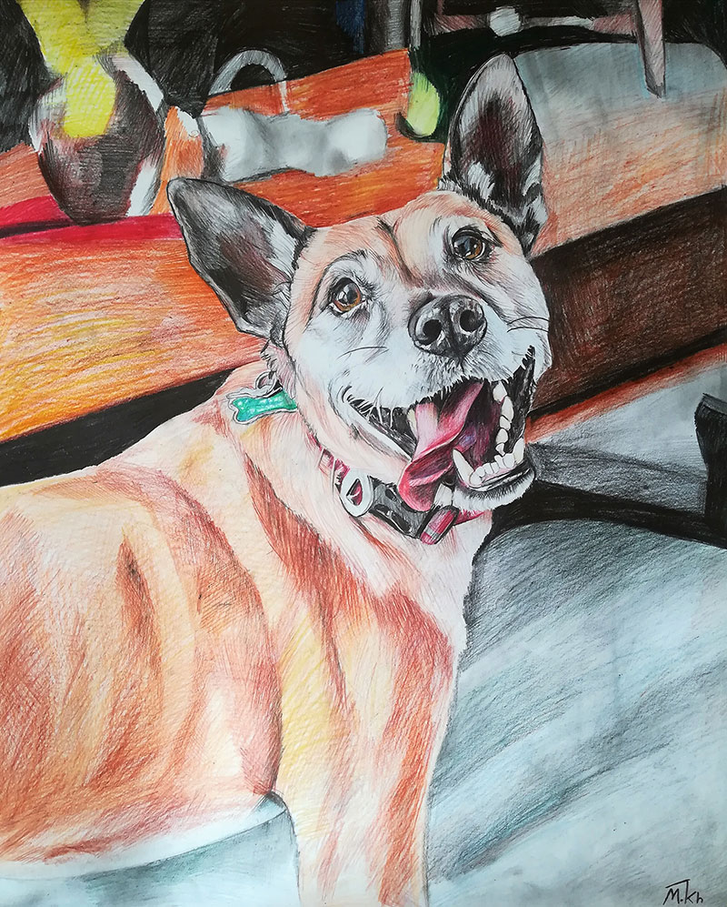 custom colored pencil portrait of silly dog 