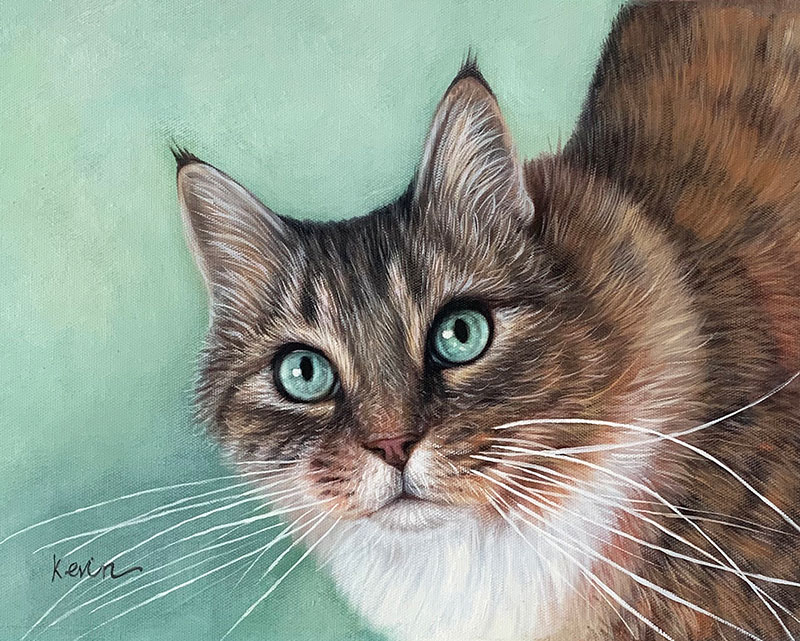 custom oil painting of a cat with bright blue eyes