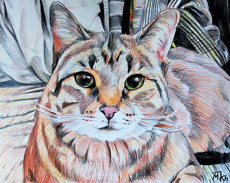 custom colored pencil of long haired cat with green eyes