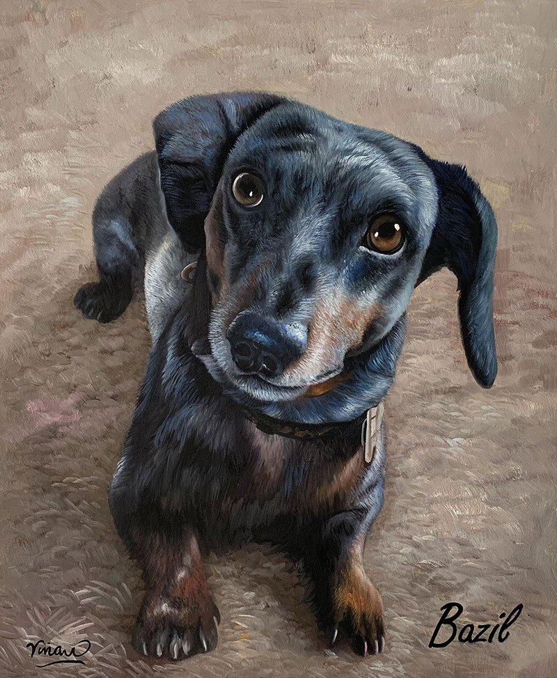 Oil dog portraits on canvas