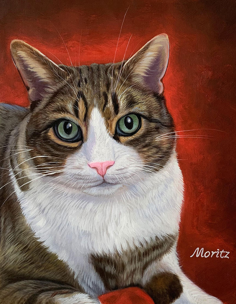 Oil cat portraits on acrylic
