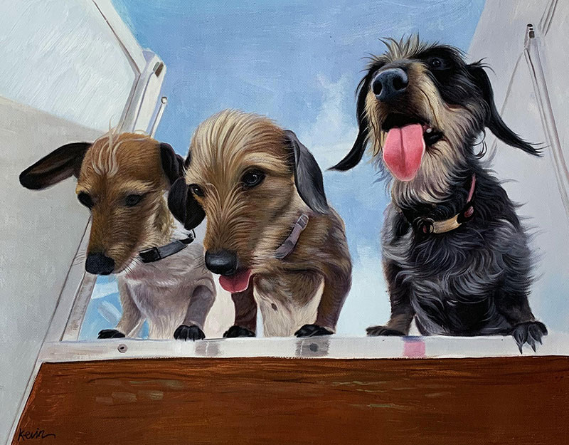 Painting of three dachshunds looking over a wooden surface.