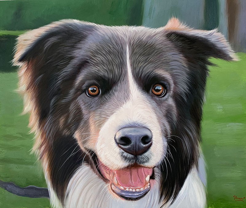 Oil dog portraits on canvas