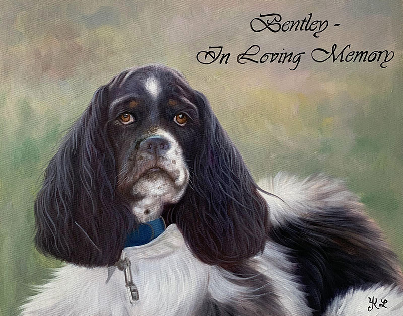 Painting of Bentley, a black and white Springer Spaniel, in loving memory.