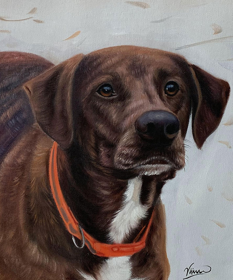 Painting of a brown dog wearing an orange collar