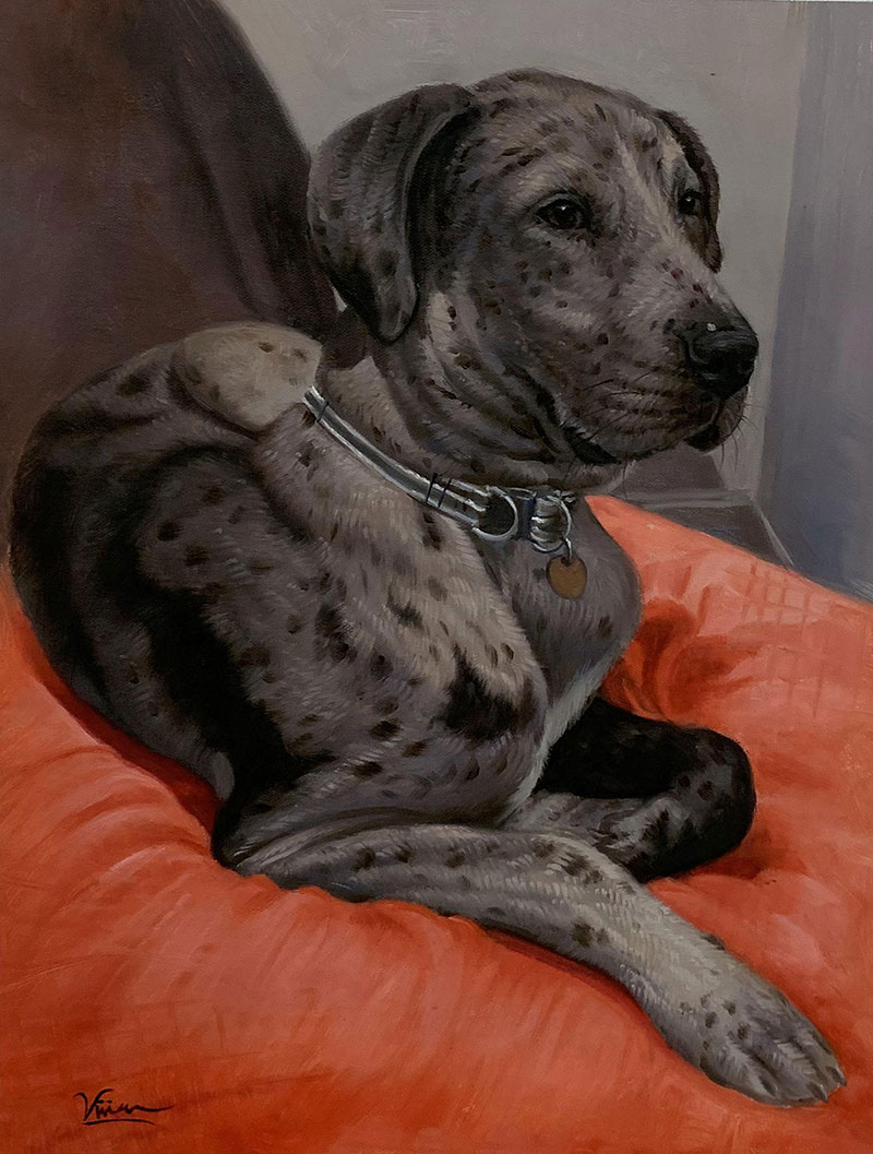 Painting of a harlequin Great Dane lying on an orange cushion.