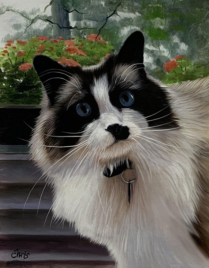 Custom cat painting in oil