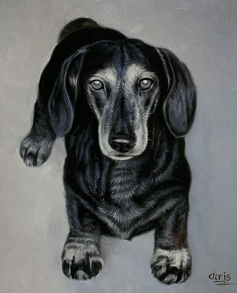 Custom dog painting in oil