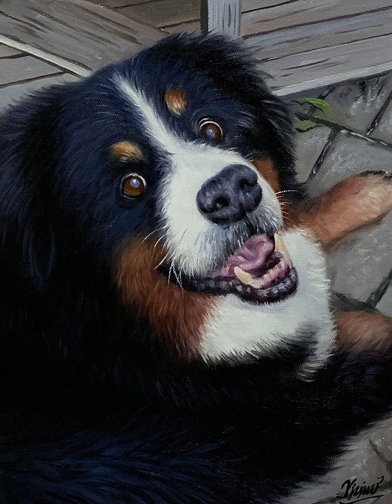 Painting of a Bernese Mountain Dog smiling