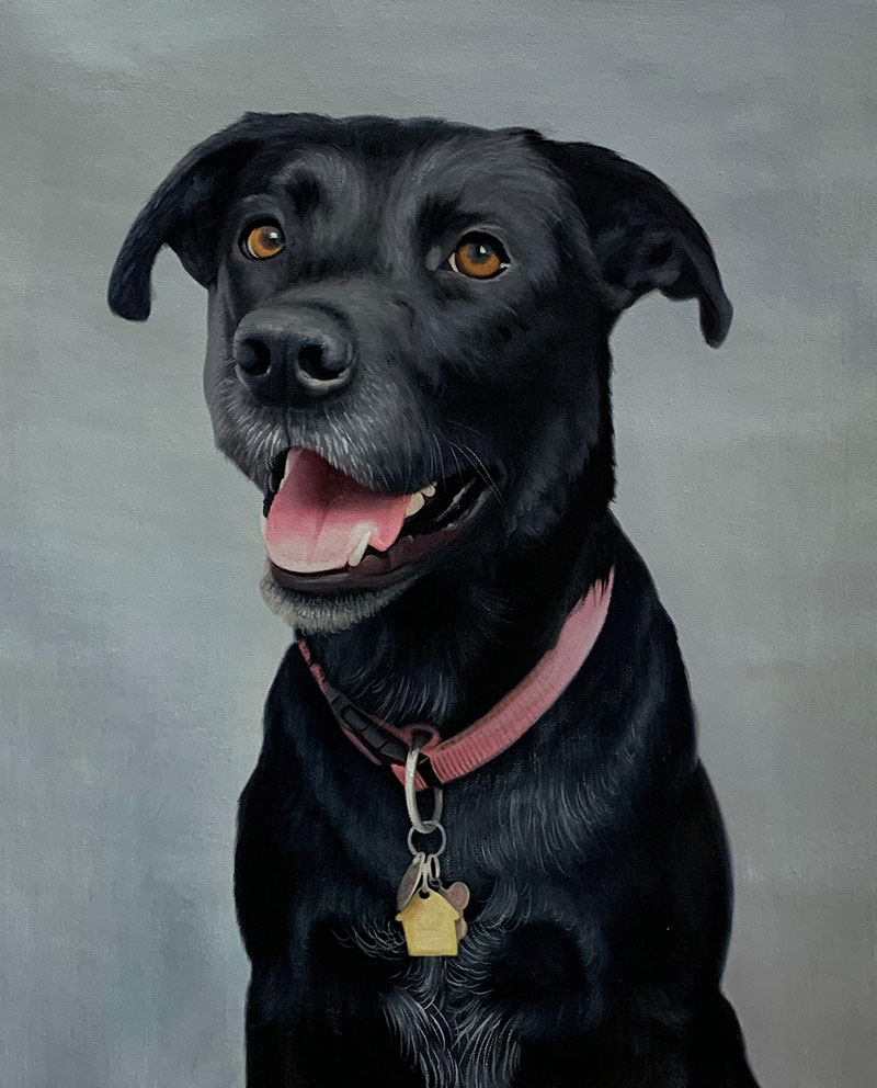 Custom dog painting in acrylic
