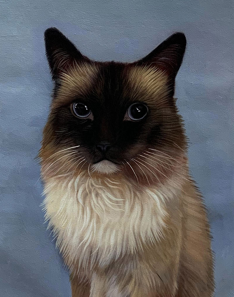 Custom cat painting in oil