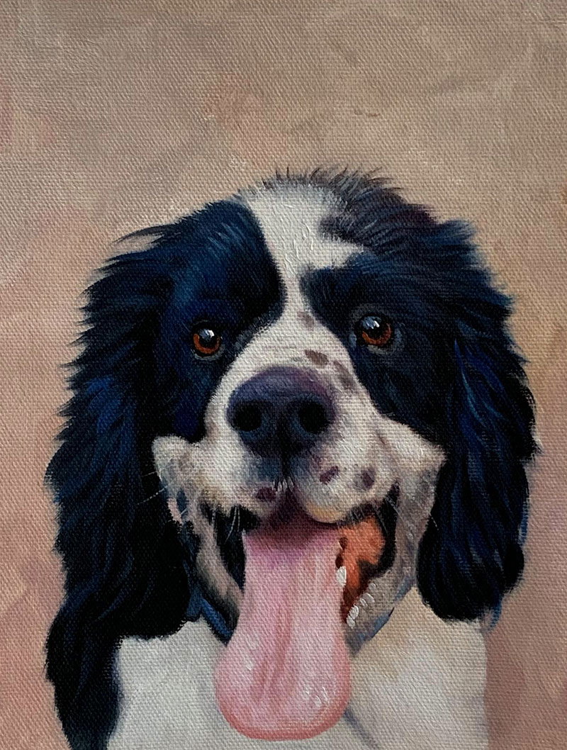 Painting of a black and white spaniel with its tongue out.