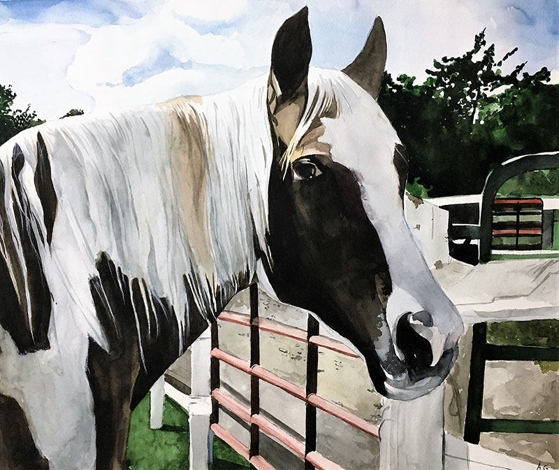 Custom watercolor painting of a horse