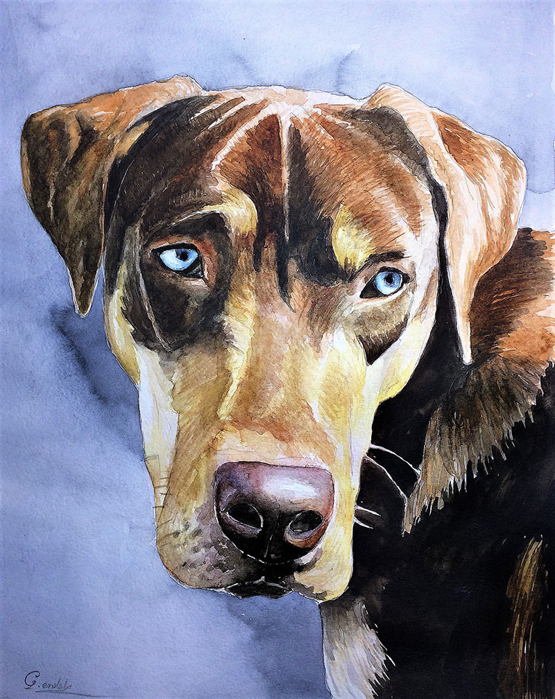 Custom watercolor painting of a dog