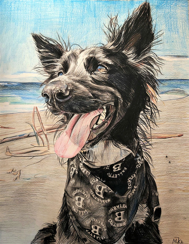 Custom color pencil drawing of a dog