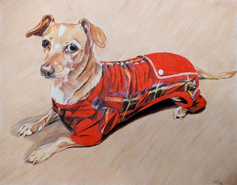 Custom color pencil drawing of a dog