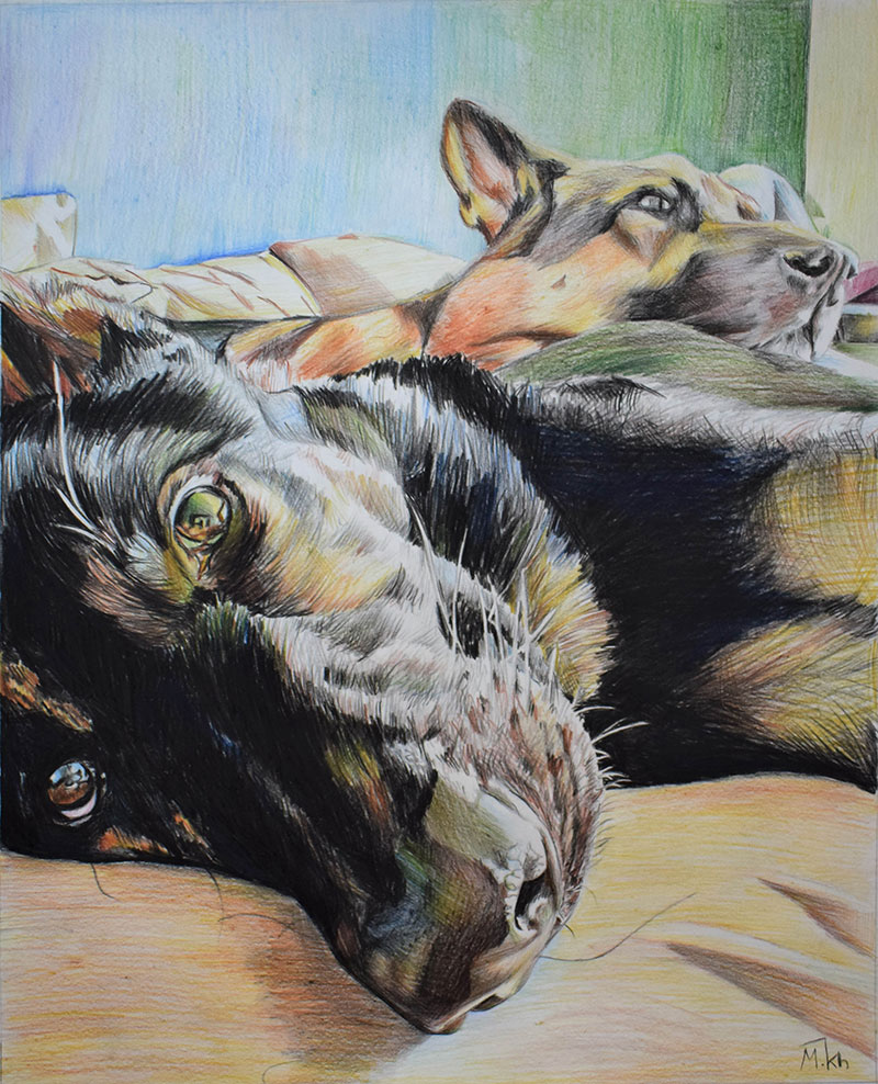 Custom color pencil drawing of two dogs