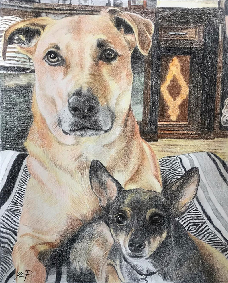 Custom color pencil drawing of two dogs