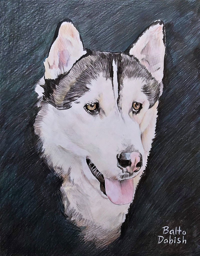 Custom color pencil drawing of a dog