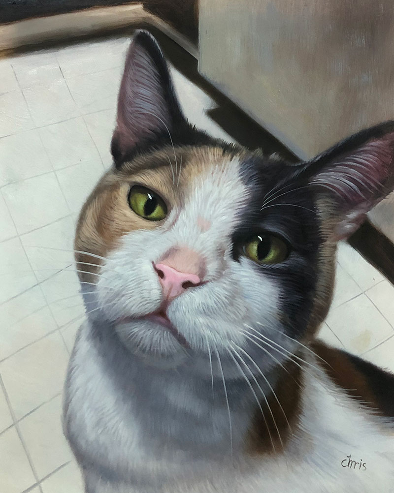Beautiful handmade oil painting of a cat