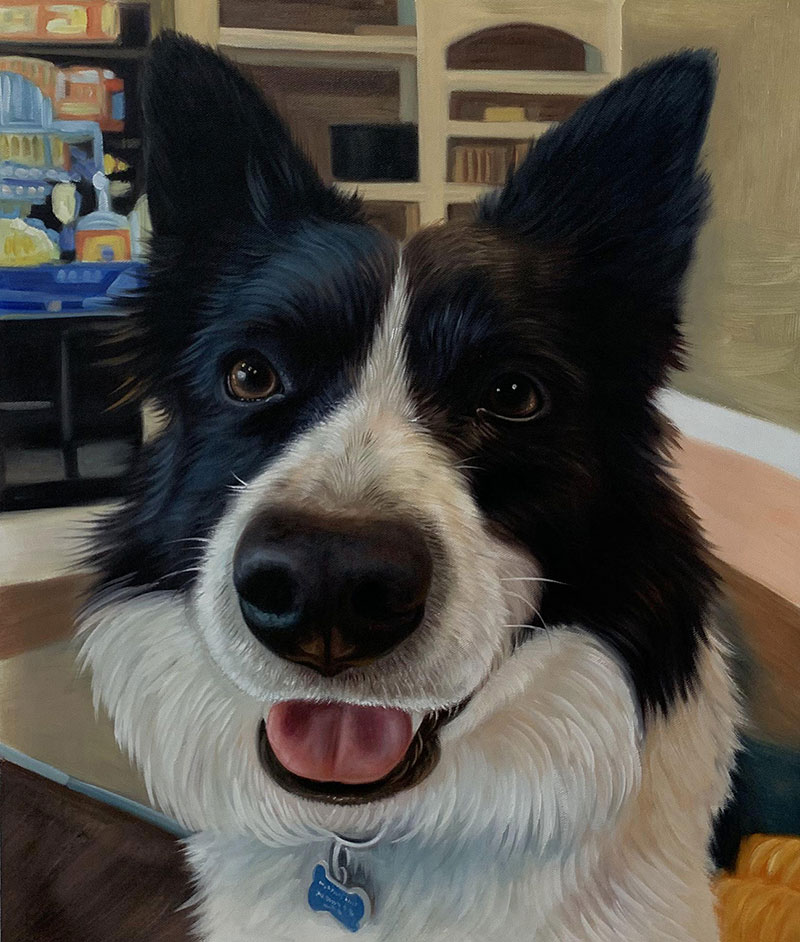 Painting of a happy black and white border collie.