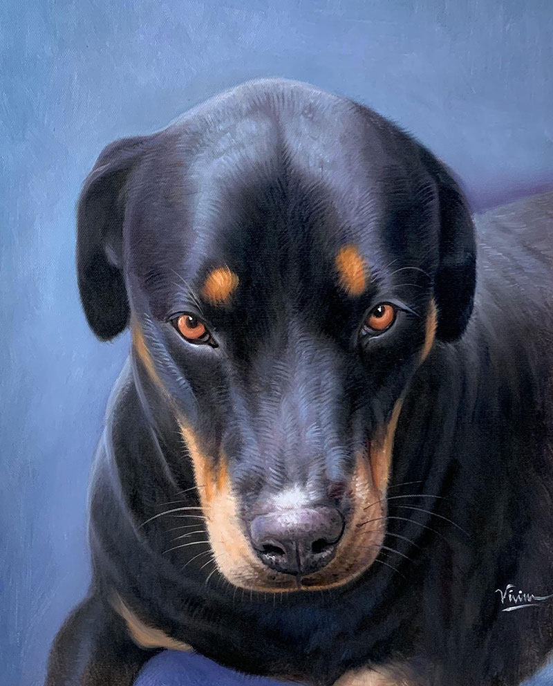 Painting of a Rottweiler dog