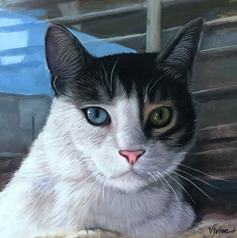 cat painting in oil with 2 different eye colors