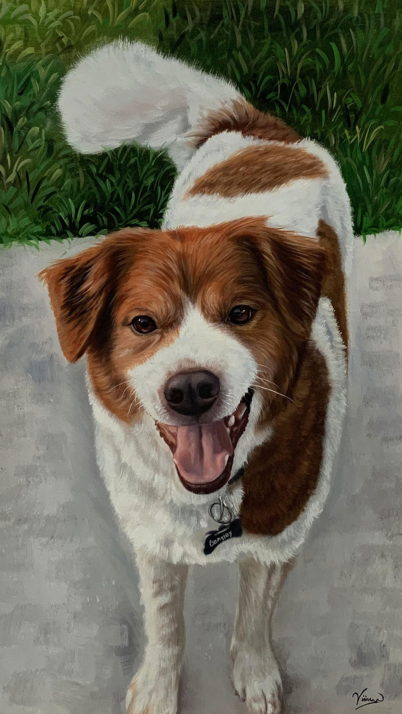 Painting of a happy brown and white dog with its tongue out, wearing a collar tag that reads Bentley