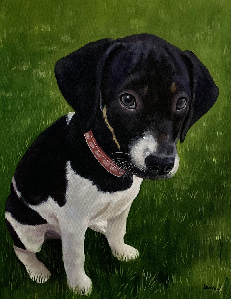 Painting of a black and white puppy sitting on green grass wearing a red collar.