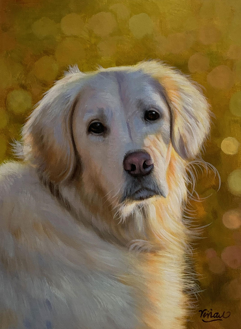 Painting of a golden retriever against a blurred yellow background.