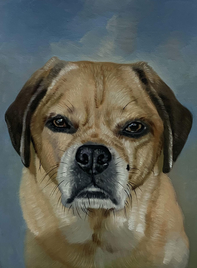 custom pet portrait in oil