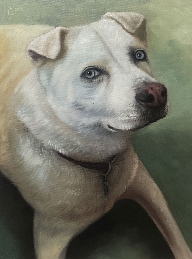 Painting of a white dog with blue eyes wearing a collar.