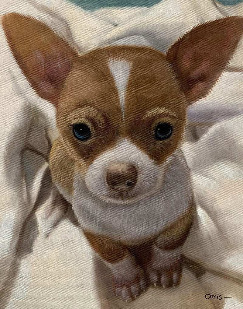 Painting of a brown and white chihuahua puppy nestled in a white blanket.