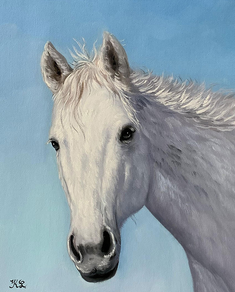 Hand made oil portrait of a white horse with blue background